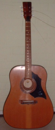 Western guitar